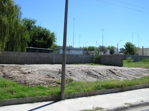 Preparación del terreno